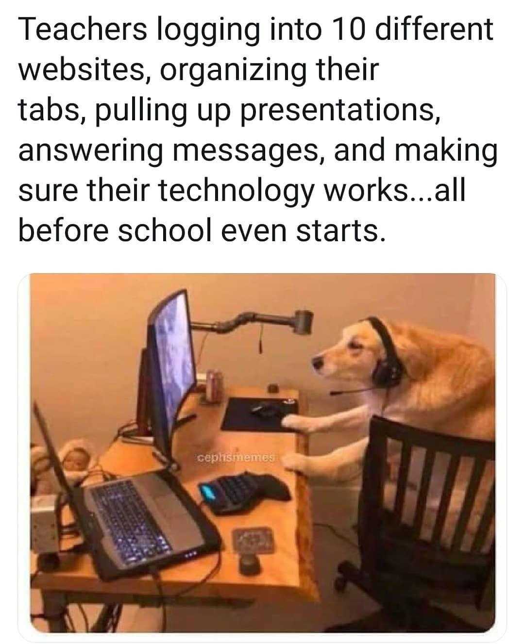 dog sitting at a desk with a laptop and a microphone