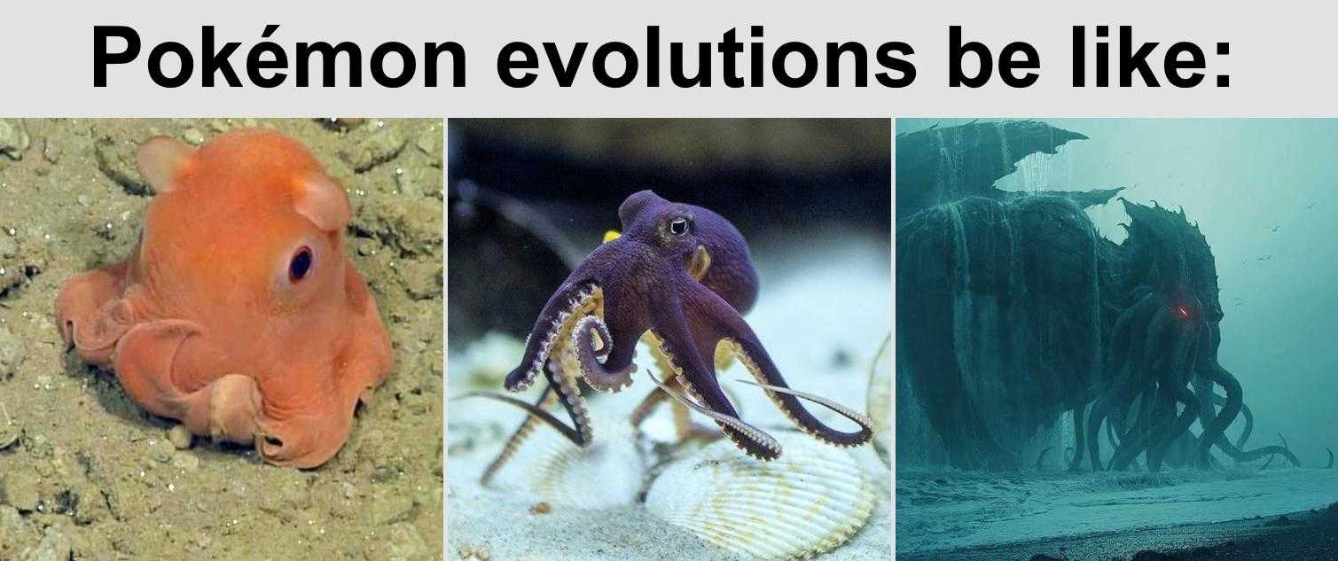 there are four different pictures of a sea creature and a octopus