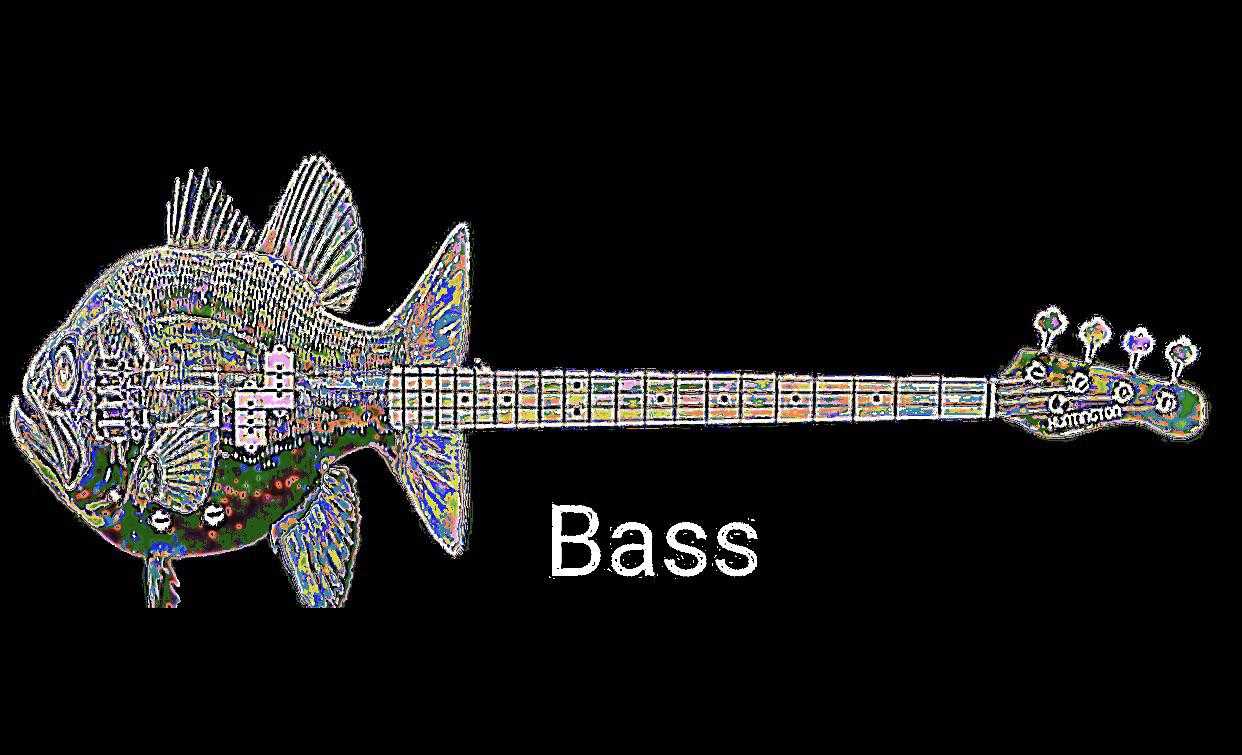 a close up of a fish shaped guitar with a bass on it