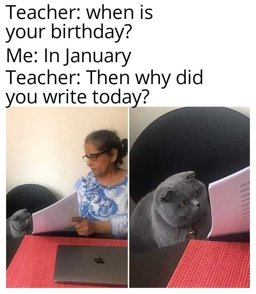 cat sitting at a desk with a laptop and a woman reading a paper