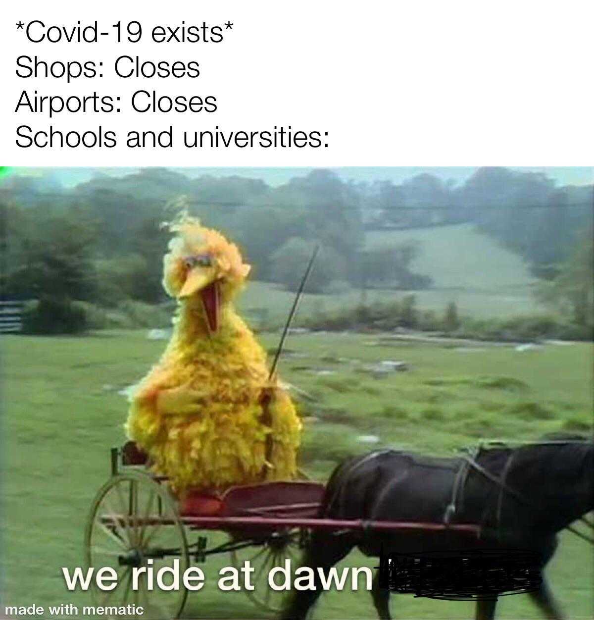 horse pulling a buggy with a big bird in it