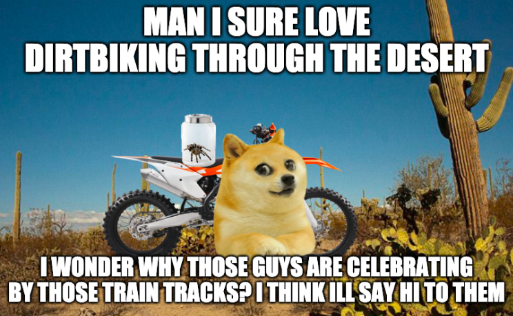 dog with a dirt bike and a desert background