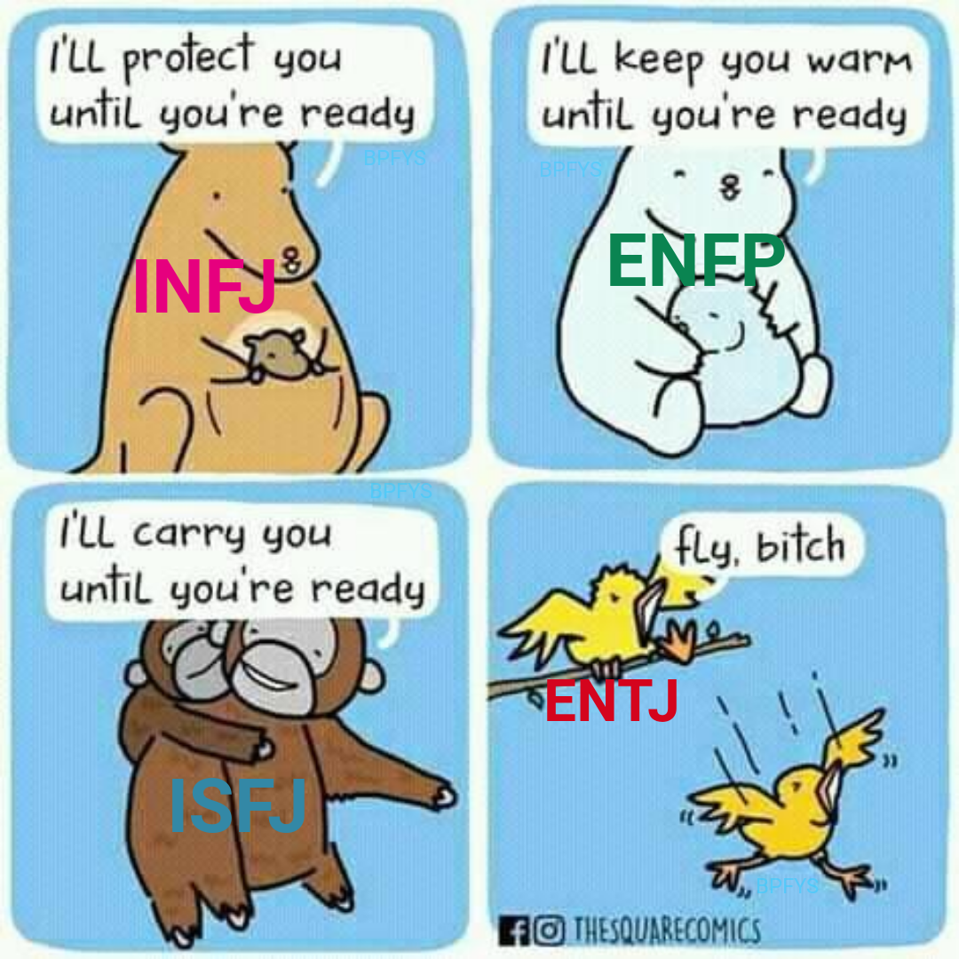 cartoon of a bear and a bird with caption sayings about being an infj