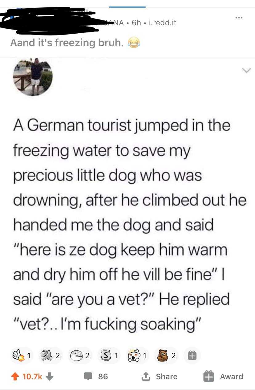 a screenshot of a tweet with a caption of a dog saying, ' a german tourist jumped in the freezing water to save my dog '