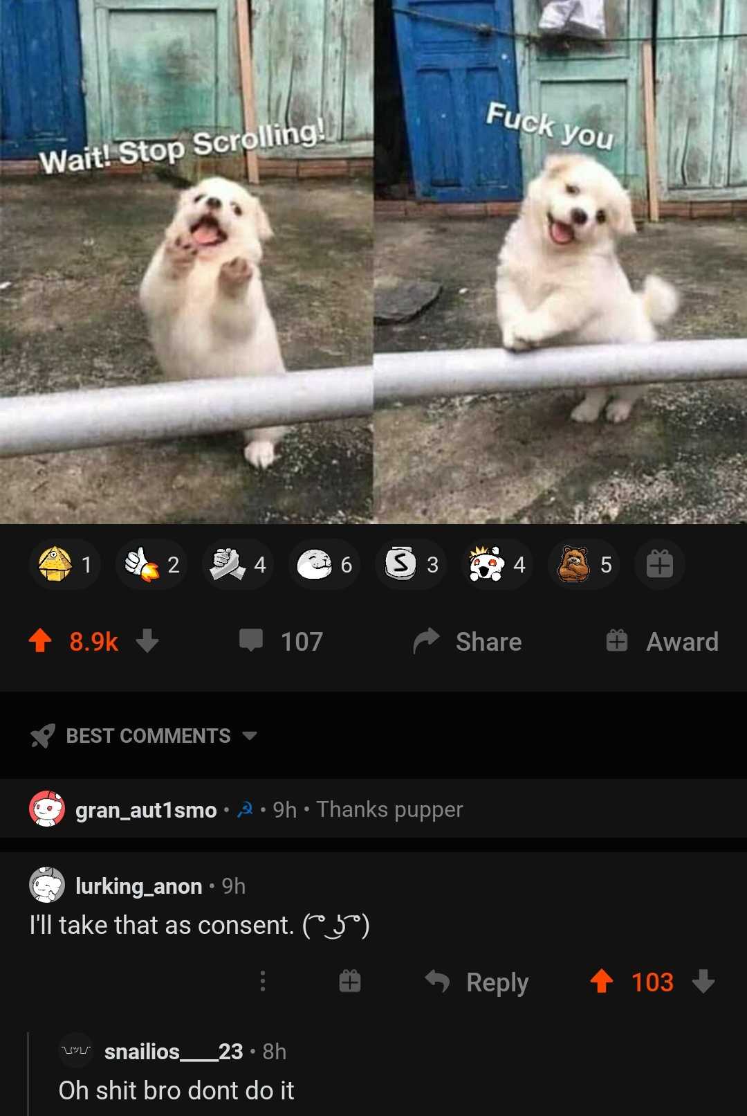 there are two dogs that are sitting on a rail