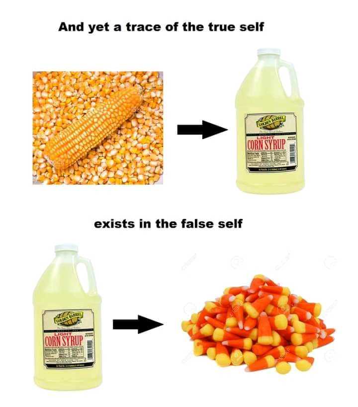 a picture shows a picture of corn and a bottle of liquid