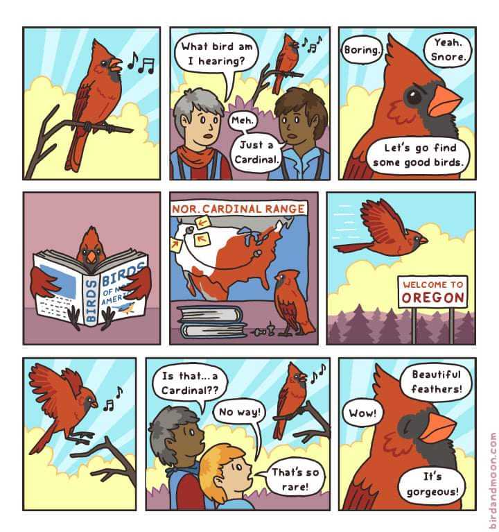 a cartoon of a comic strip with a cardinal bird and a man reading a book