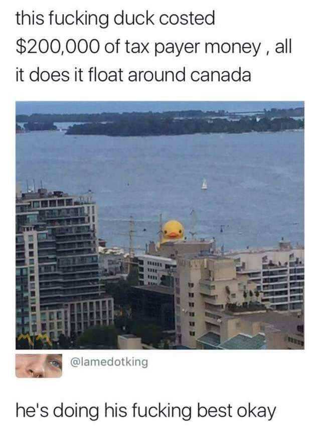 a picture taken from a high rise building with a yellow duck on top