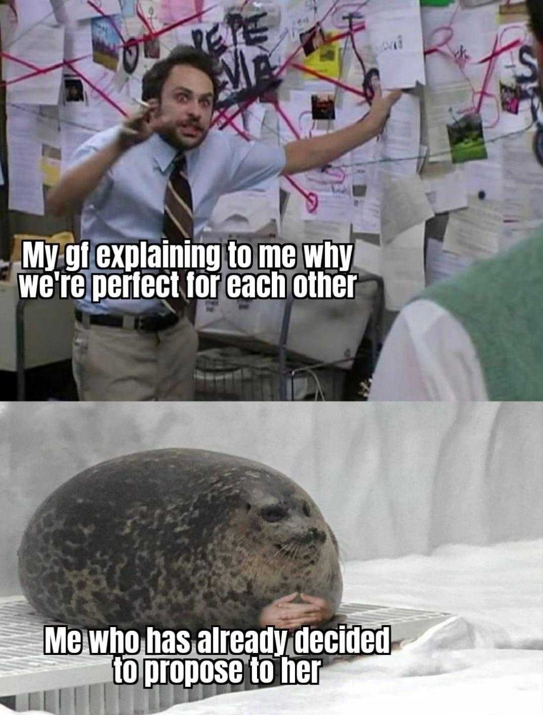 there are two pictures of a man and a seal on a bed