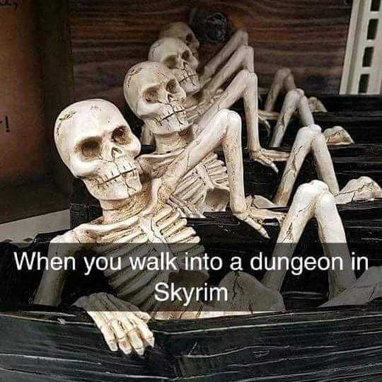 skeletons in a box with a caption saying when you walk into a dungeon skym