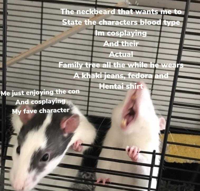 there are two rats in a cage with a caption on it