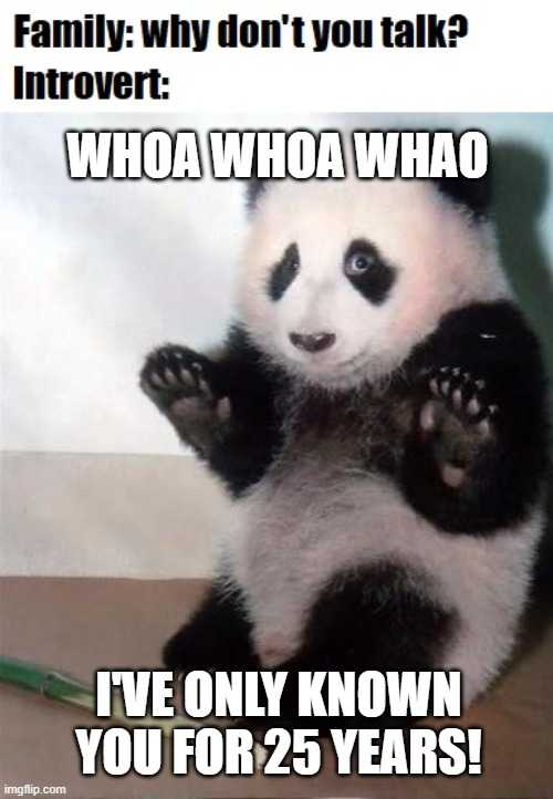 panda bear sitting on its hind legs with caption saying family why don ' t you talk? who who