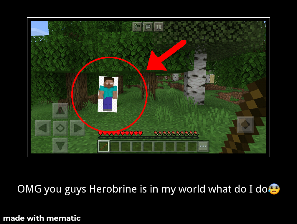 there is a picture of a man in a minecraft world