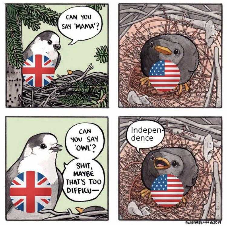 a cartoon of a bird with a flag on its chest and a speech bubble above it