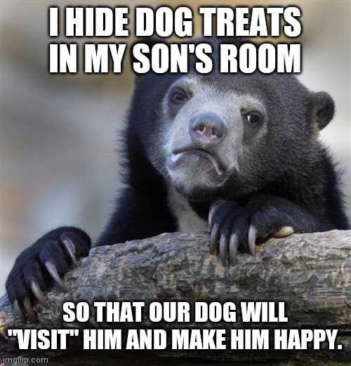 a bear that is sitting on a log with a caption saying, hide dog treats in my son '