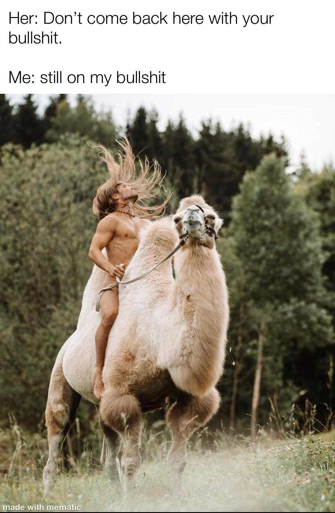 araffe riding a camel with a woman on it in a field