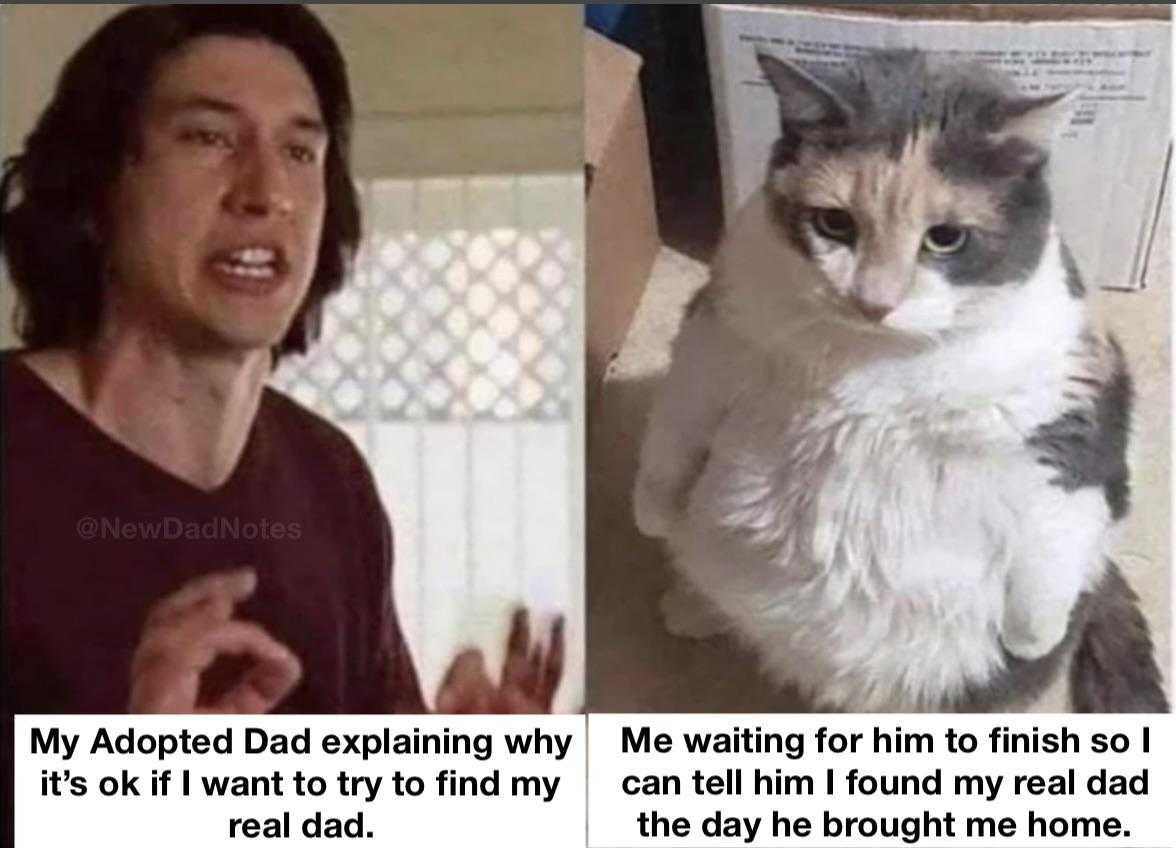 there are two pictures of a man and a cat with captions