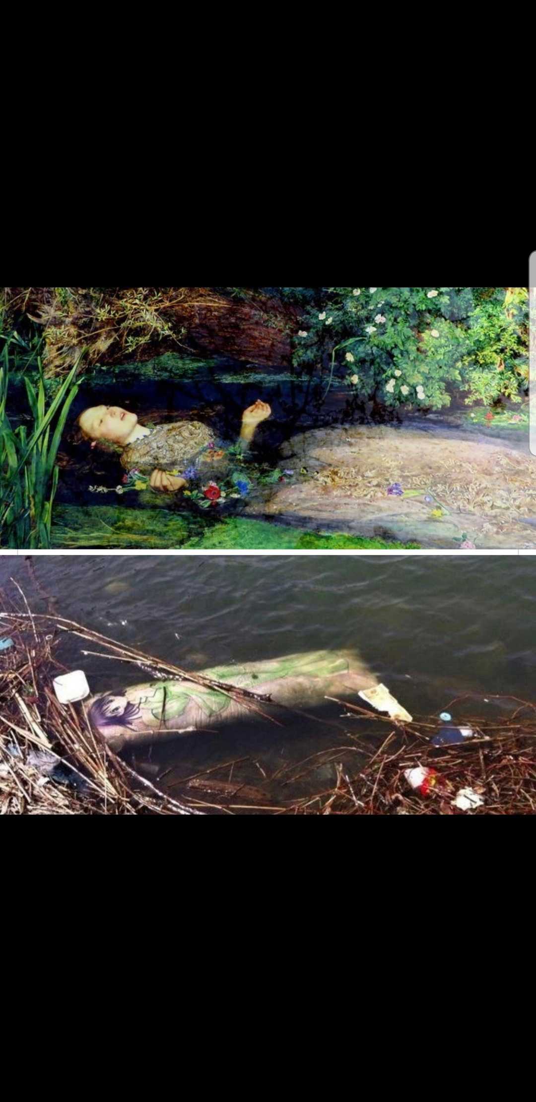 there are two pictures of a duck that is in the water