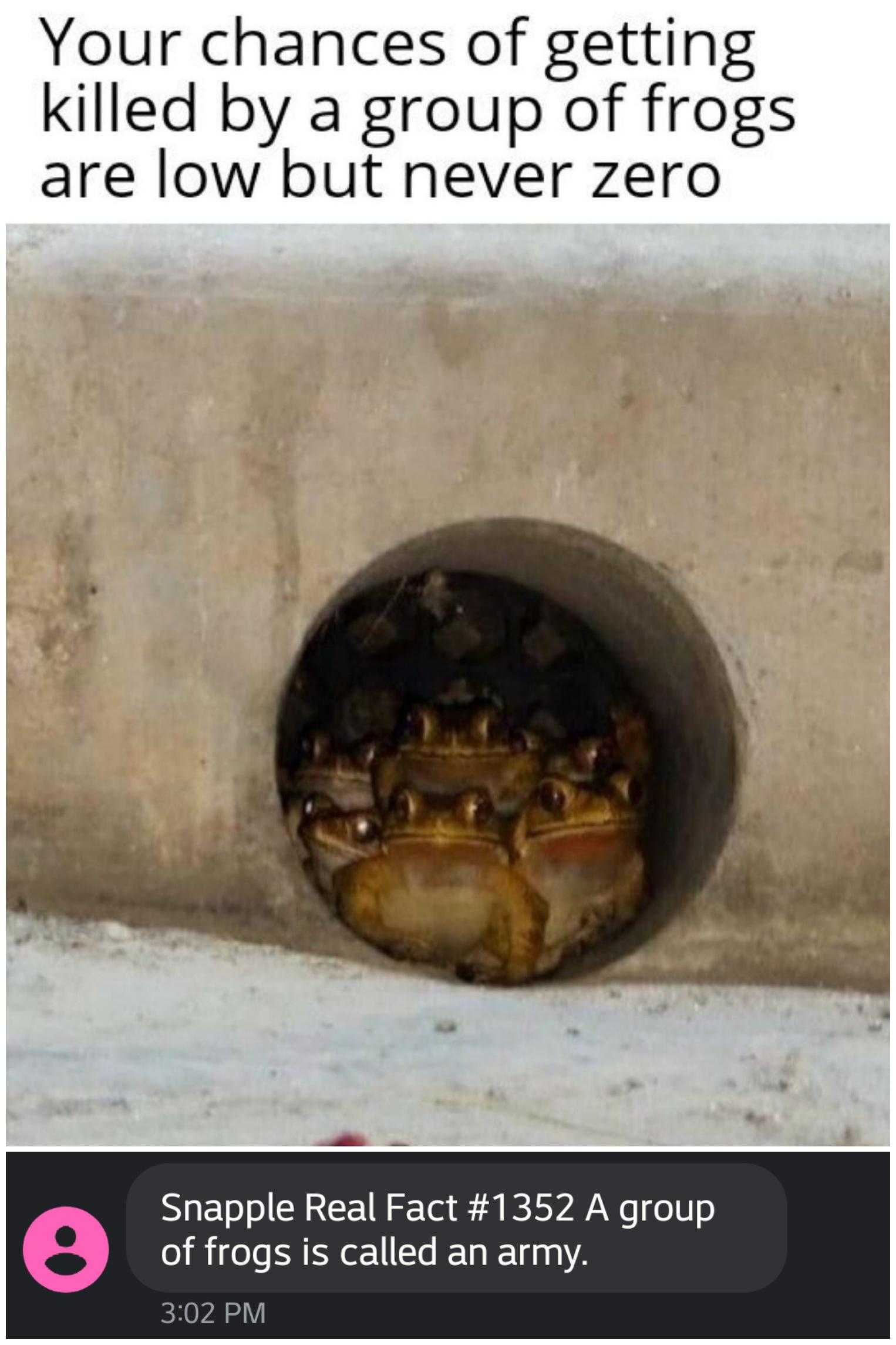 there are many crabs in the hole of a concrete wall