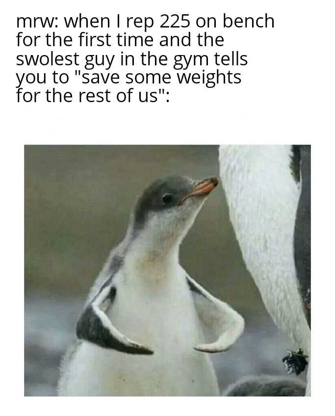 penguin with a caption saying, when i prep 25 oh bench for the first time and the gym tells you ' ll save some weights for the rest of us