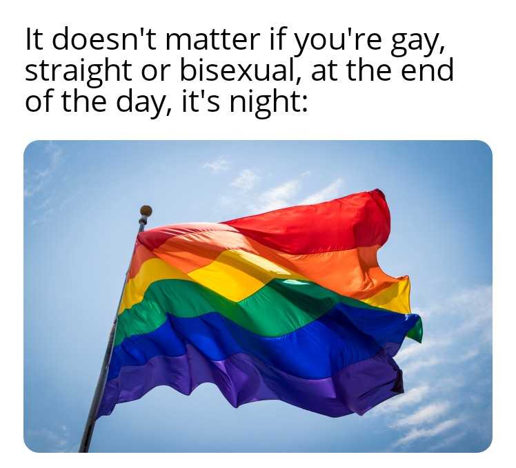 araffe rainbow flag with a quote about gay rights