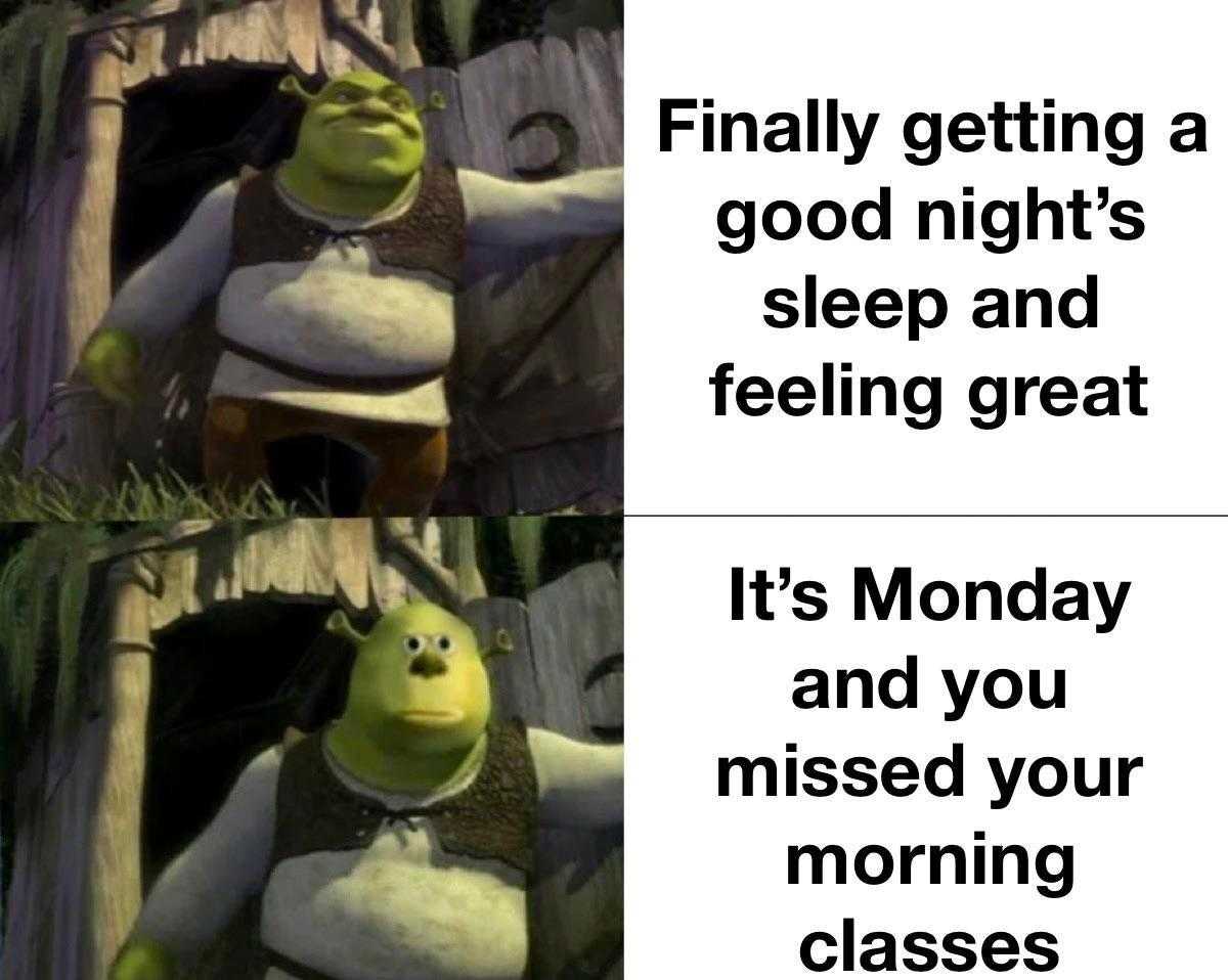 a picture taken from a video of a cartoon character with a caption saying, finally getting a good night ' s sleep and feeling great it ' s monday and missed your morning classes