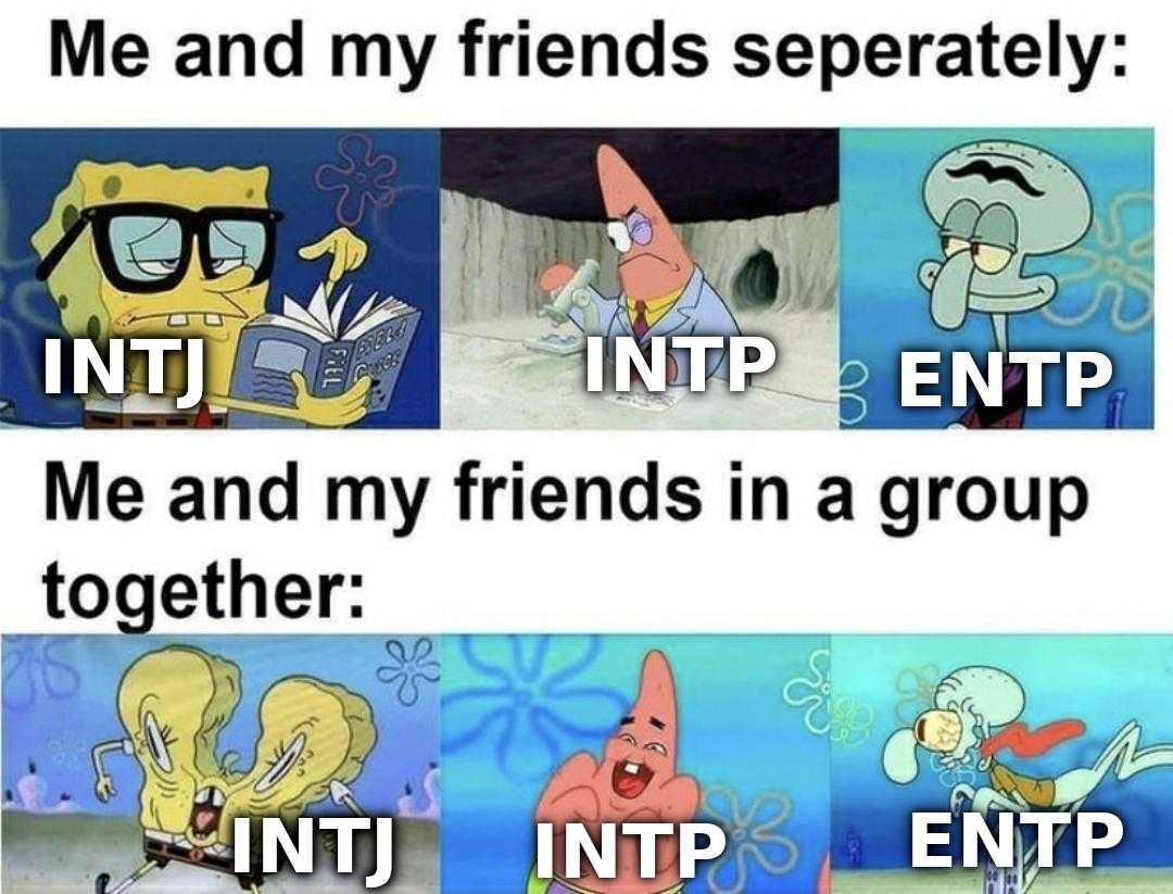 cartoon memes and my friends separately intp intp intp intp intp intp intp intp intp intp intp intp intp intp intp intp intp intp intp intp intp intp intp intp intp intp intp intp