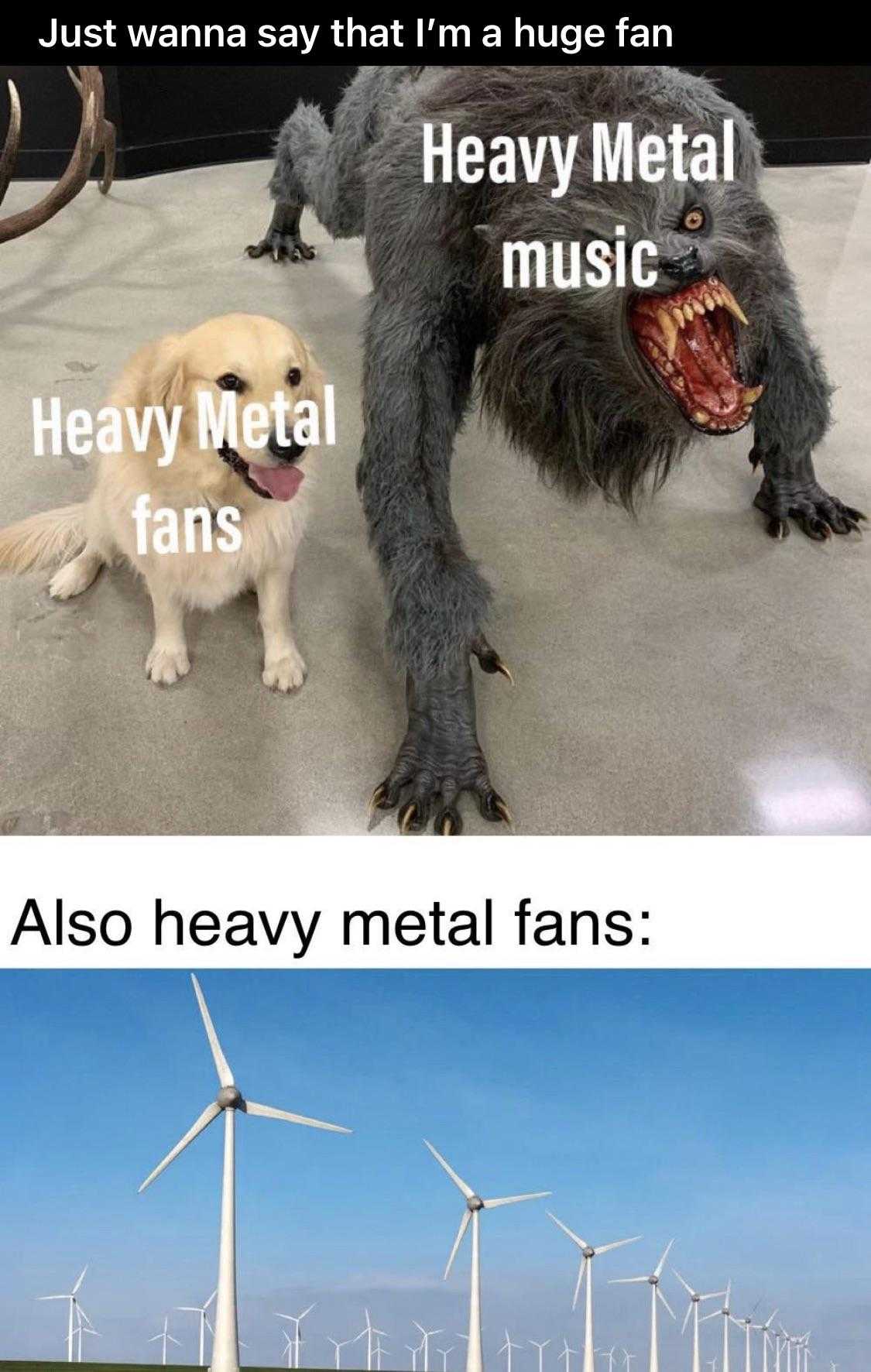 a picture taken from a facebook page shows a dog and a giant metal fan