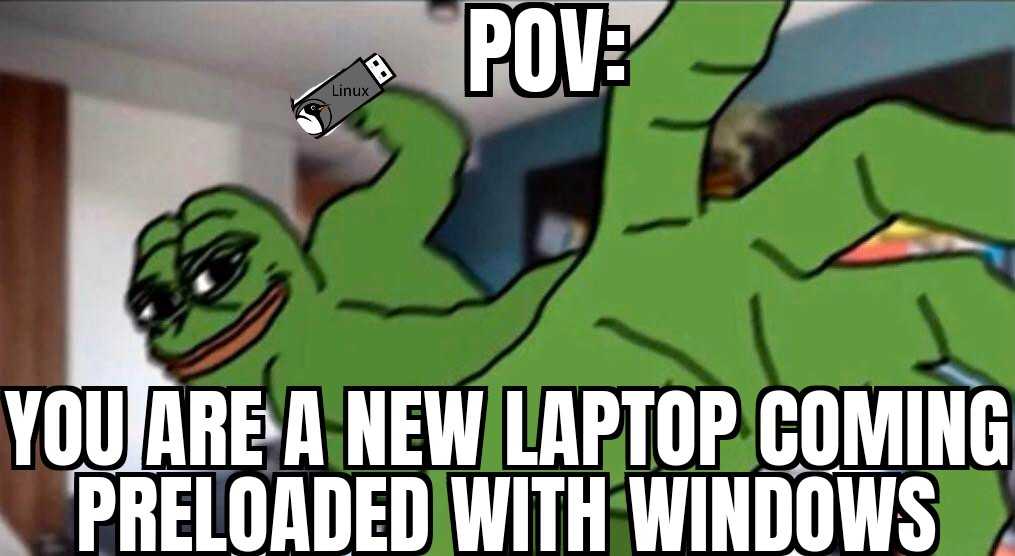 a cartoon frog with a key in its mouth and a caption that says pov you are a new laptop coming, reloaded with windows