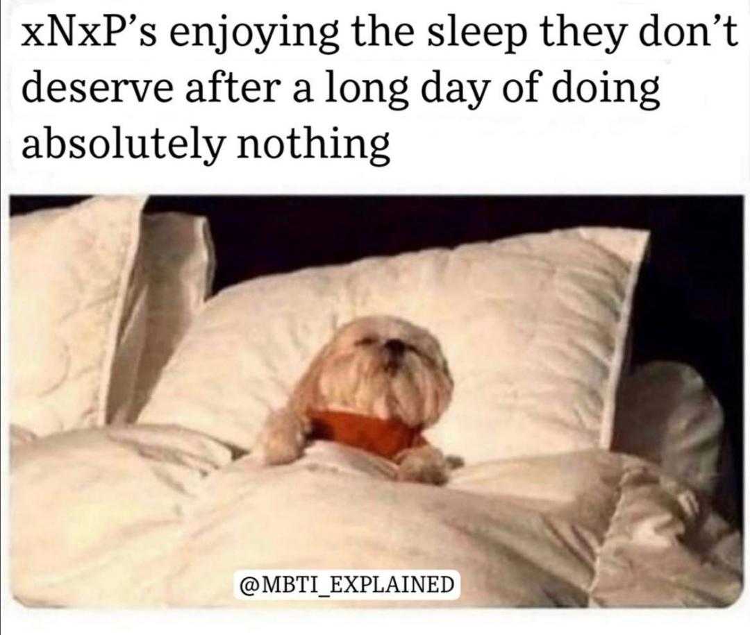 araffe dog laying in bed with pillow and pillow cover with caption saying, ' xrp enjoying the sleep they don ' t deserve after a long day of doing absolutely nothing