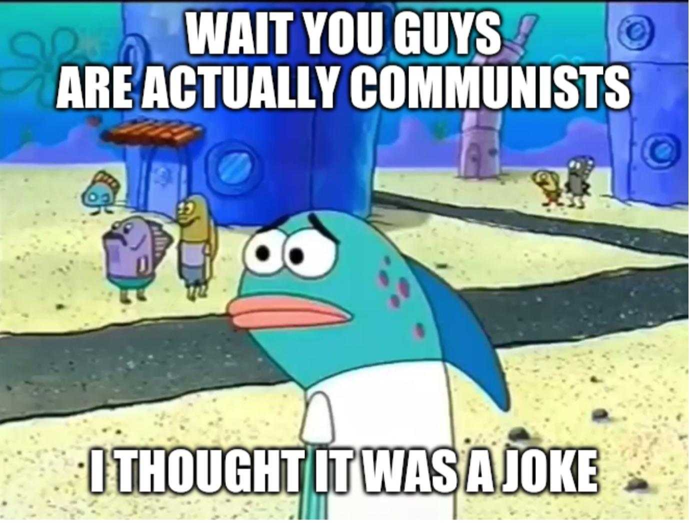 a cartoon fish with a caption saying wait you guys are actually communists