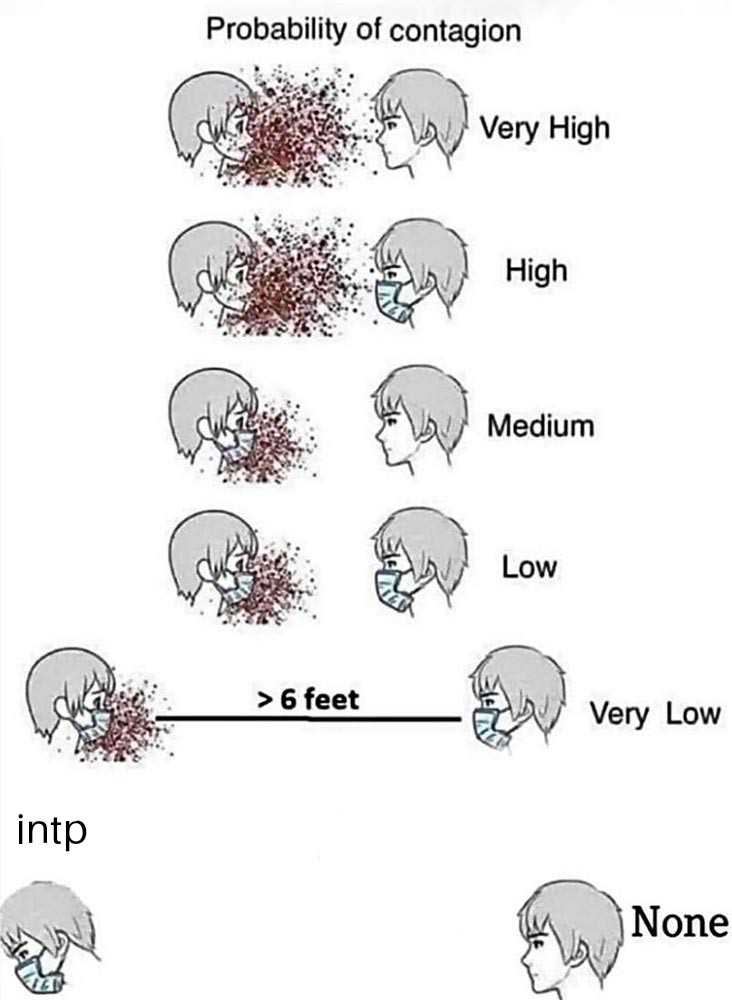 a diagram of a woman ' s hair with different stages of hair loss