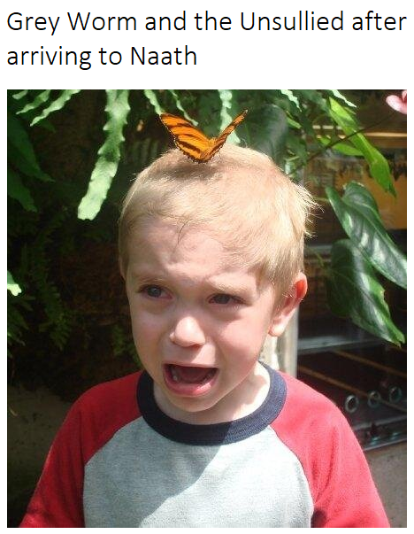 boy with a butterfly on his head and a tweet