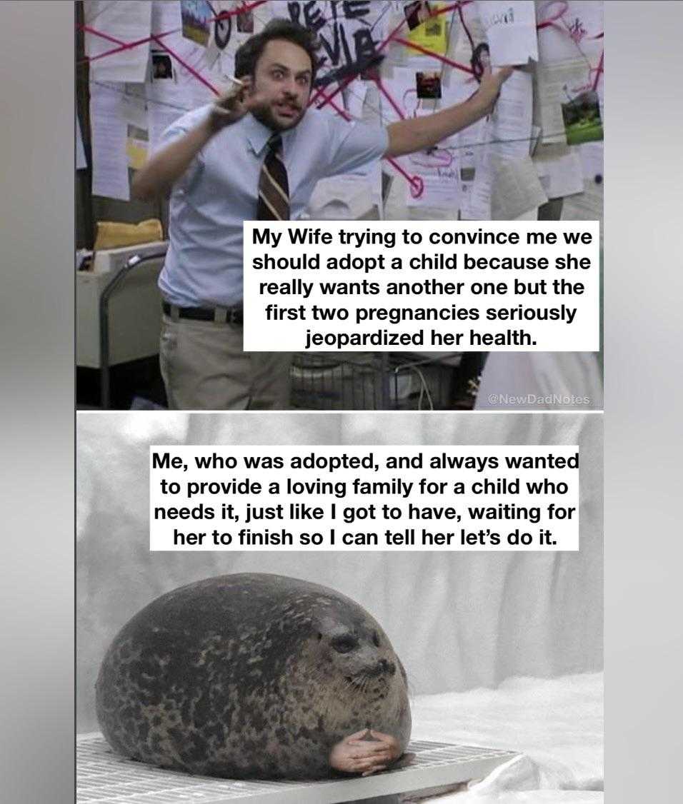 there are two pictures of a man and a seal on a bed