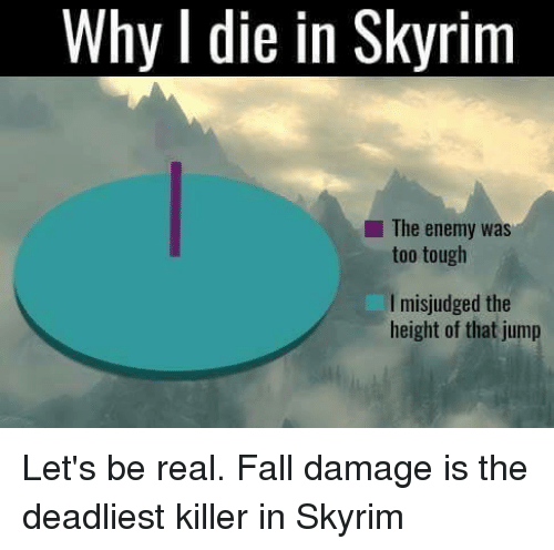 a picture taken from a video game shows a pie chart with a skyrimm