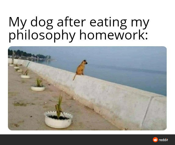 dog sitting on a wall with a plant in a pot