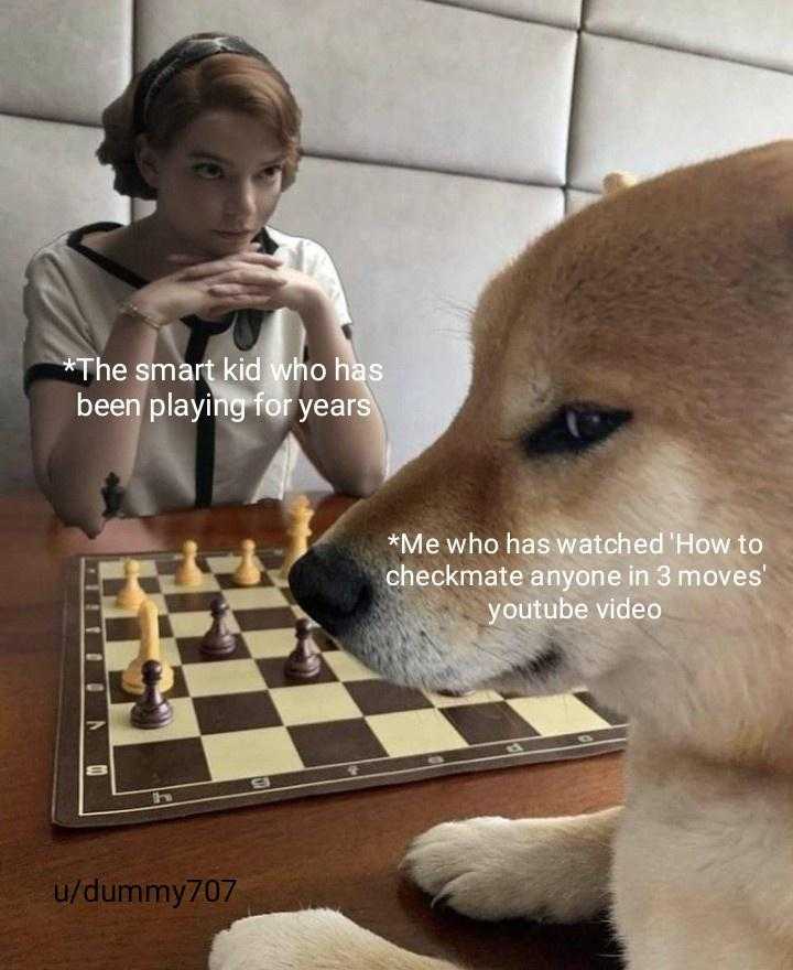 dog sitting at a table with a chess board and a woman playing chess