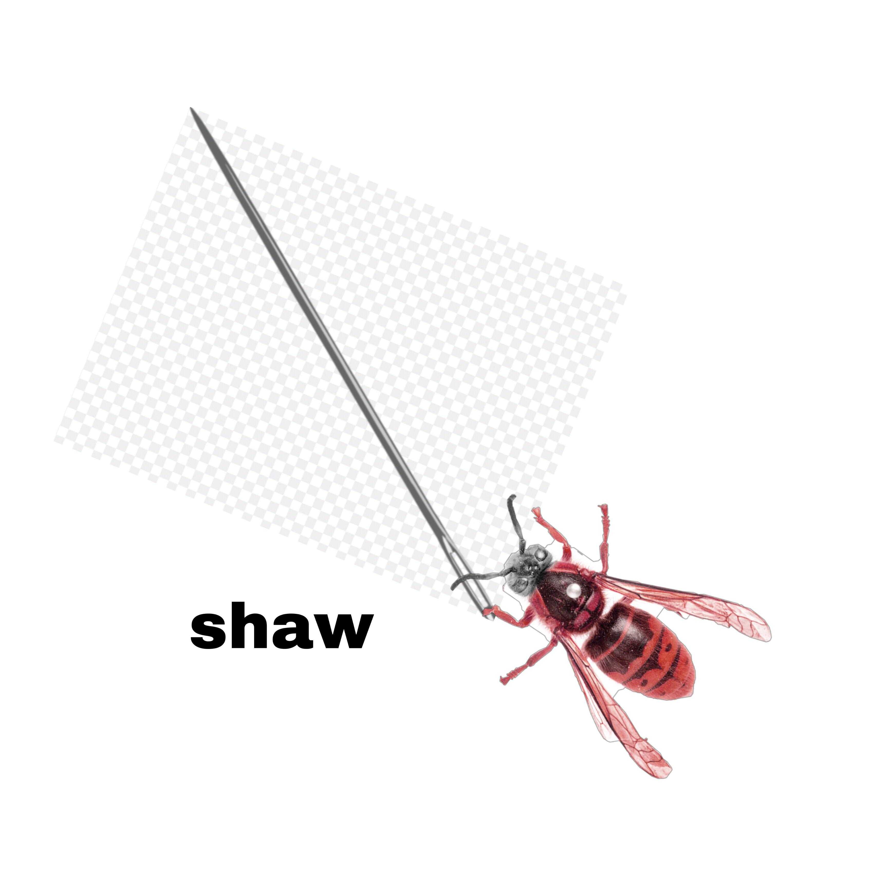 there is a picture of a fly with a sword in it