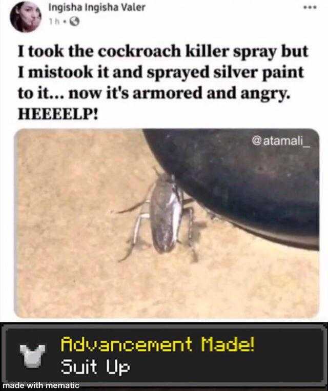 a close up of a bug on a floor with a caption