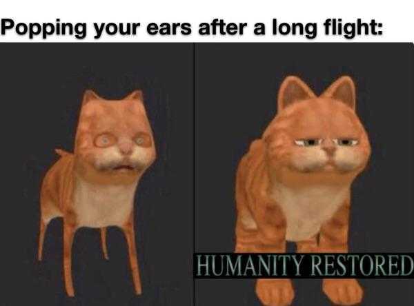 a close up of two pictures of a cat with a caption of popping your ears after a long flight