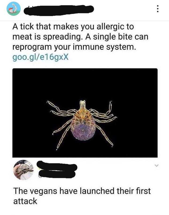 a tweee of a spider with a caption of a bug