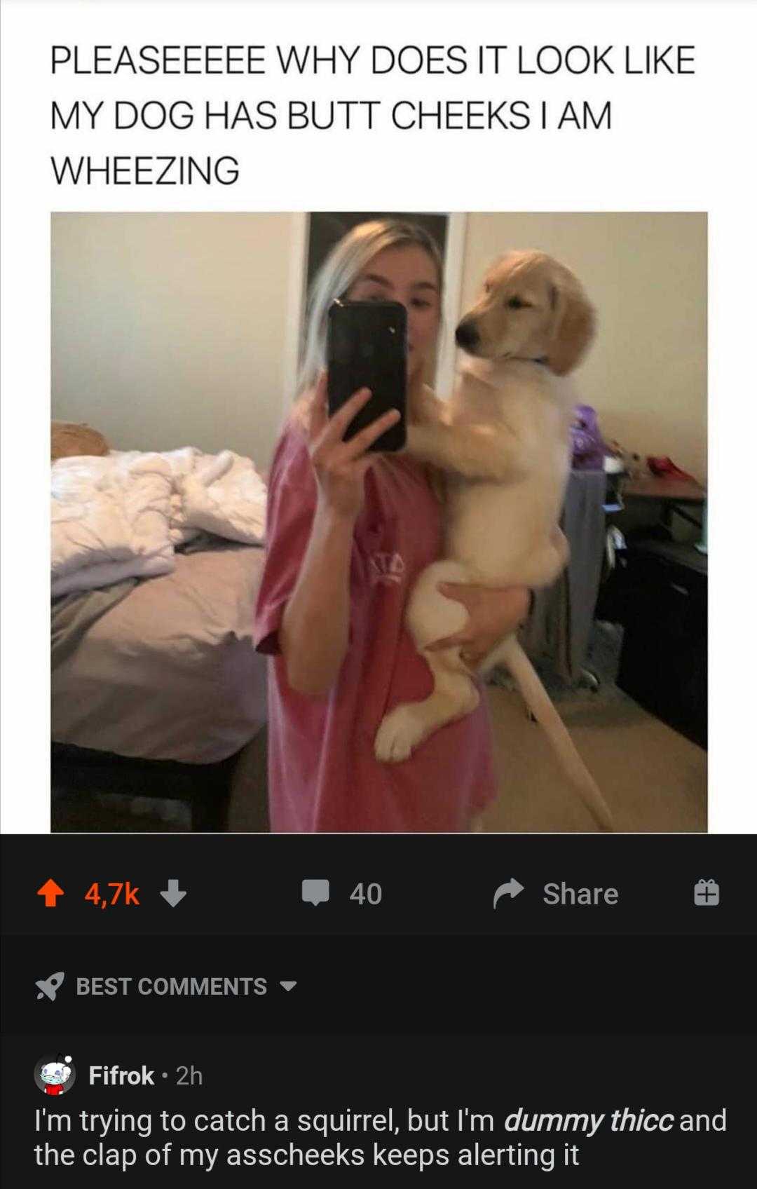 woman holding a dog in her arms and taking a selfie