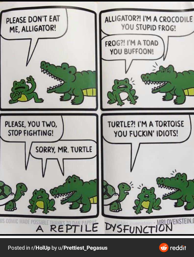 cartoon of a comic strip with a crocodile and a turtle