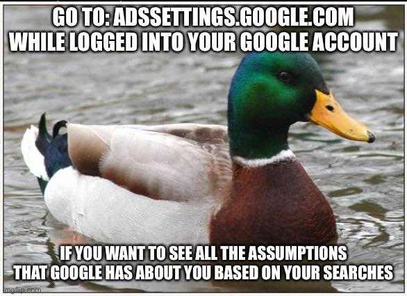 duck in the water with caption saying go to google com while logged into your google account