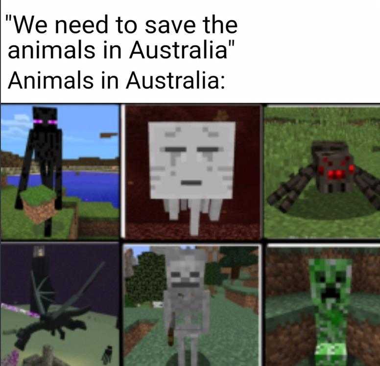 a bunch of pictures of minecraft characters with caption saying we need to save the animals in australia animals in australia