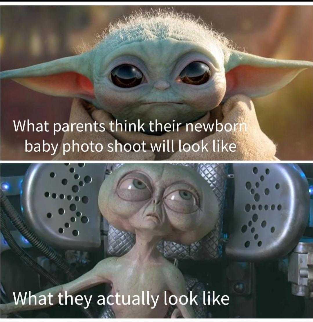 a close up of a baby yodah with a caption of what parents think their newborn baby photo will look like