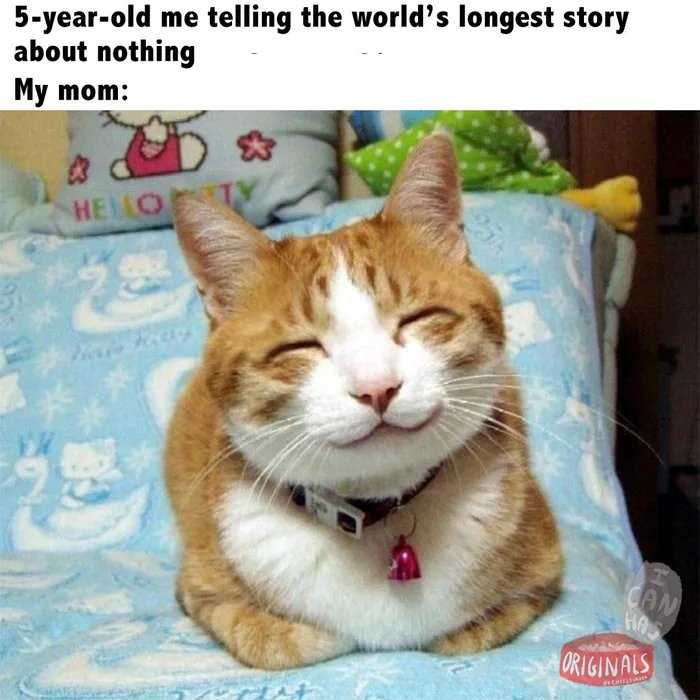 there is a cat that is sitting on a bed with a caption