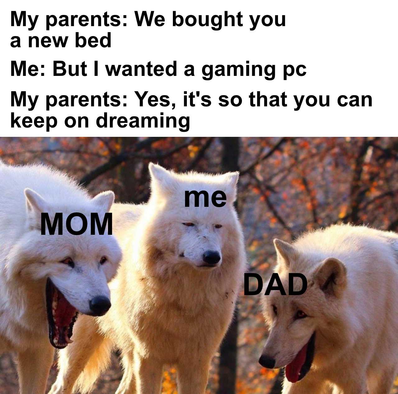 three white wolfs standing next to each other with a caption of a dad and daughter