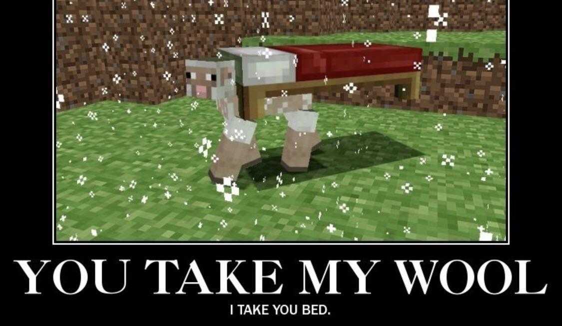 a picture taken from a minecraft meme of a horse with a red blanket