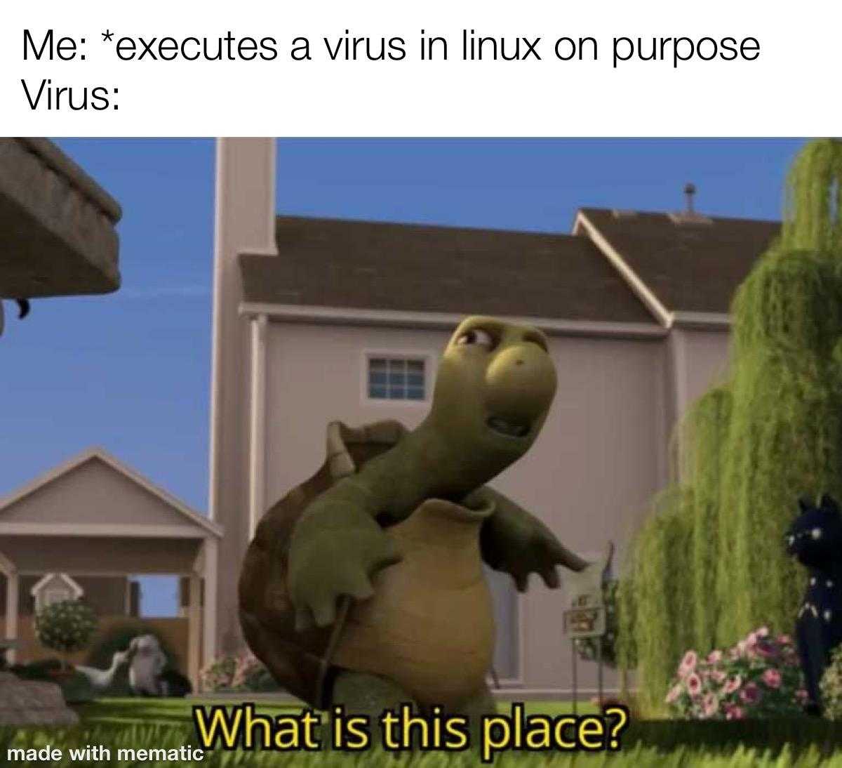 a turtle that is standing in the grass with a caption that reads me executes a virus linux purpose